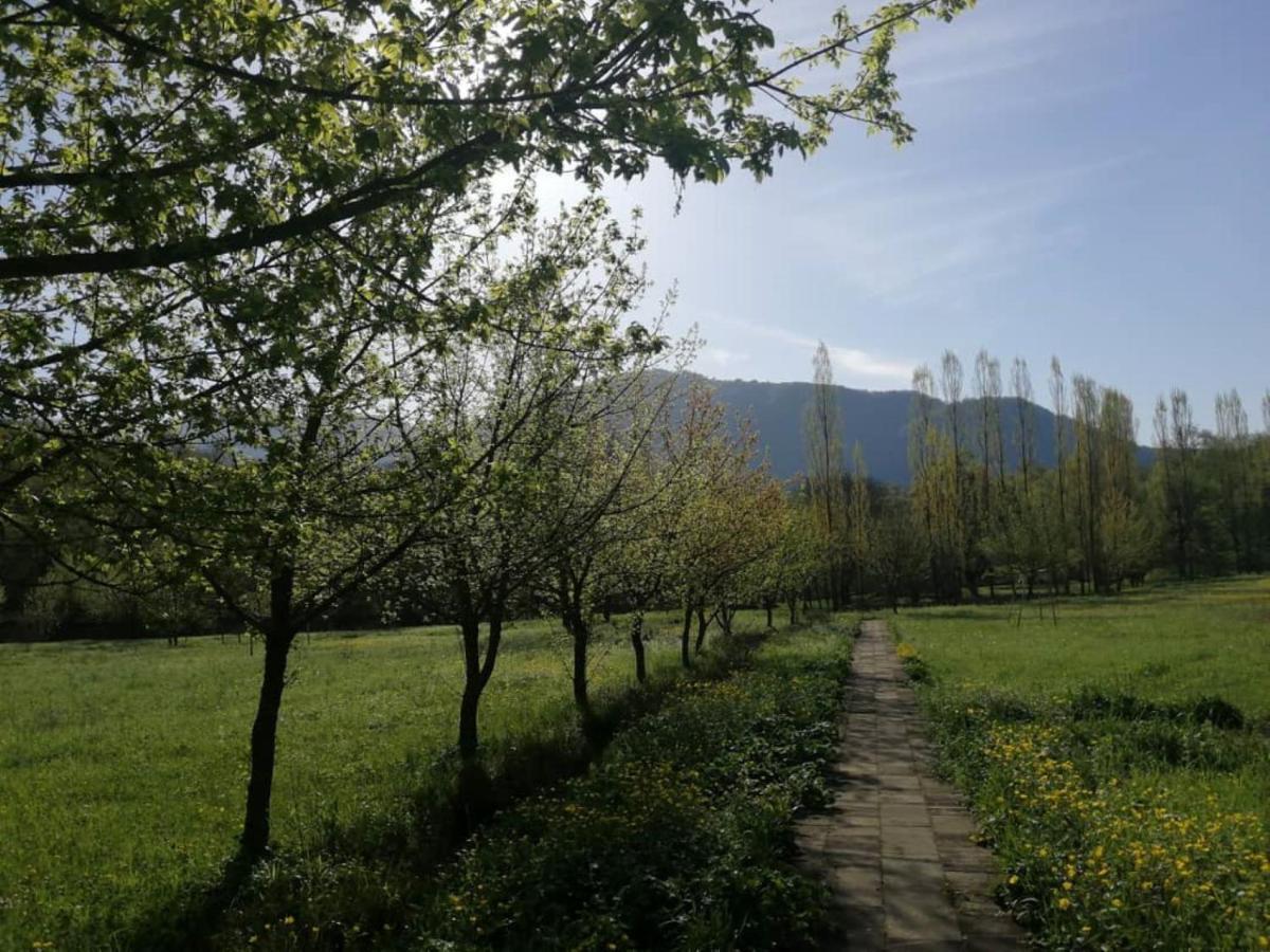 إيسمايلي Grand Village المظهر الخارجي الصورة